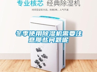 行業(yè)新聞冬季使用除濕機需要注意那些問題呢