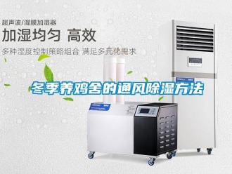 企業新聞冬季養雞舍的通風除濕方法