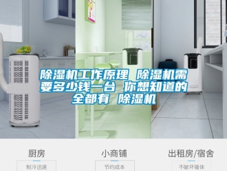 行業(yè)新聞除濕機(jī)工作原理 除濕機(jī)需要多少錢一臺(tái) 你想知道的全都有 除濕機(jī)