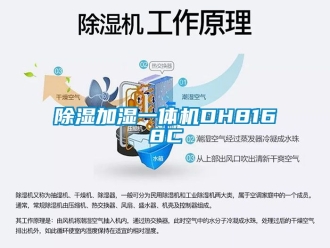 行業新聞除濕加濕一體機DH8168C