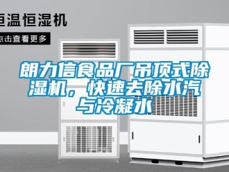行業新聞朗力信食品廠吊頂式除濕機，快速去除水汽與冷凝水