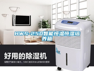 常見問題HWS-250智能恒溫恒濕培養箱