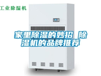 企業新聞家里除濕的妙招 除濕機的品牌推薦