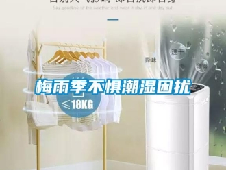 行業新聞梅雨季不懼潮濕困擾