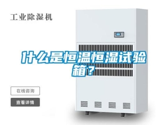 知識百科什么是恒溫恒濕試驗箱？