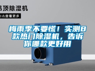行業新聞梅雨季不要慌！實測8款熱門除濕機，告訴你哪款更好用