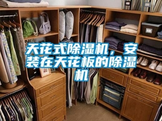 行業新聞天花式除濕機，安裝在天花板的除濕機