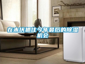 行業(yè)新聞在末伏抓住今年最后的除濕機(jī)會(huì)