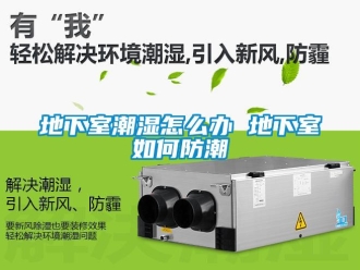 企業新聞地下室潮濕怎么辦 地下室如何防潮