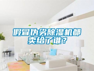 行業(yè)新聞假冒偽劣除濕機(jī)都賣(mài)給了誰(shuí)？