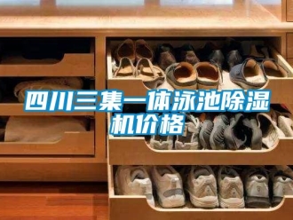 企業新聞四川三集一體泳池除濕機價格