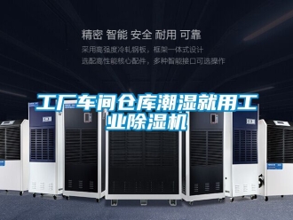 常見問題工廠車間倉庫潮濕就用工業除濕機