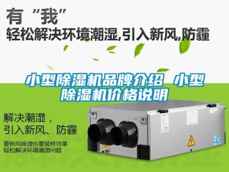 企業(yè)新聞小型除濕機(jī)品牌介紹 小型除濕機(jī)價(jià)格說(shuō)明