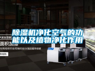 行業新聞除濕機凈化空氣的功能以及植物凈化作用