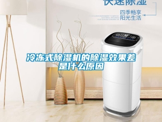 行業新聞冷凍式除濕機的除濕效果差是什么原因