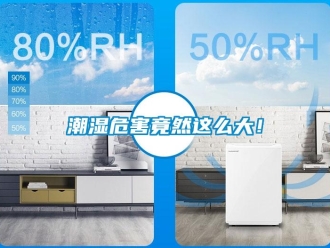 企業新聞潮濕危害竟然這么大！