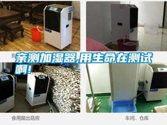 行業新聞親測加濕器,用生命在測試啊!