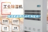 除濕機適用于山區別墅嗎？