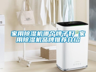 企業新聞家用除濕機哪個牌子好 家用除濕機品牌推薦介紹