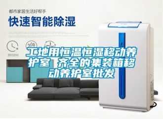 知識百科工地用恒溫恒濕移動養護室 齊全的集裝箱移動養護室批發
