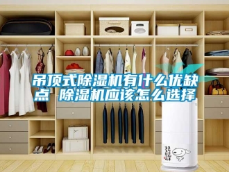 行業新聞吊頂式除濕機有什么優缺點 除濕機應該怎么選擇