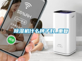 行業新聞除濕機什么牌子好_重復