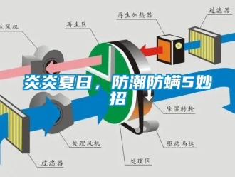 知識百科炎炎夏日，防潮防螨5妙招