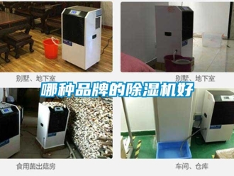 企業(yè)新聞哪種品牌的除濕機好