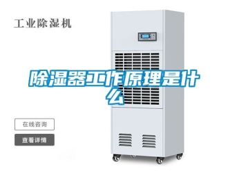 行業新聞除濕器工作原理是什么