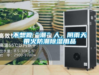 企業(yè)新聞不想做“潮”人，陰雨天帶火防潮除濕用品