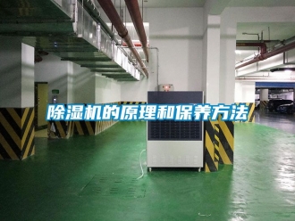 企業新聞除濕機的原理和保養方法