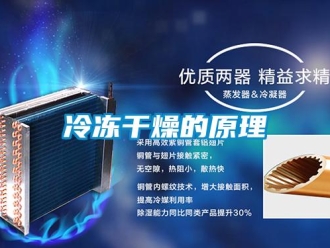 行業(yè)新聞冷凍干燥的原理