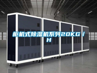 行業新聞柜機式除濕機系列20KG／H