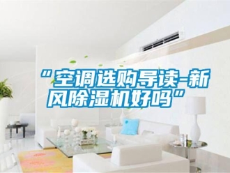 常見問題“空調選購導讀-新風除濕機好嗎”