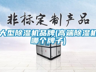 企業新聞大型除濕機品牌(高端除濕機哪個牌子)
