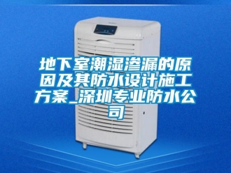 企業(yè)新聞地下室潮濕滲漏的原因及其防水設(shè)計(jì)施工方案_深圳專業(yè)防水公司