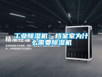 常見問題工業(yè)除濕機：檔案室為什么需要除濕機