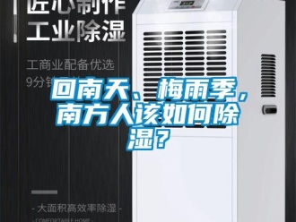 常見(jiàn)問(wèn)題回南天、梅雨季，南方人該如何除濕？