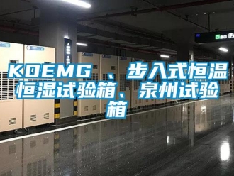 常見問題KOEMG 、步入式恒溫恒濕試驗箱、泉州試驗箱