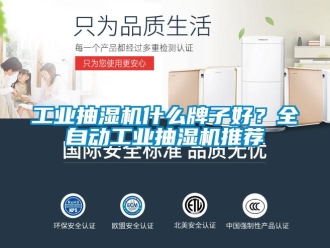 企業新聞工業抽濕機什么牌子好？全自動工業抽濕機推薦