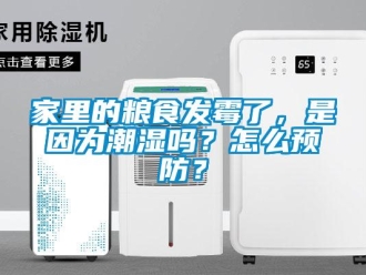 常見問題家里的糧食發霉了，是因為潮濕嗎？怎么預防？