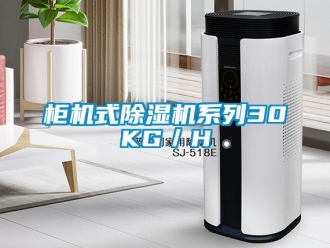 行業新聞柜機式除濕機系列30KG／H
