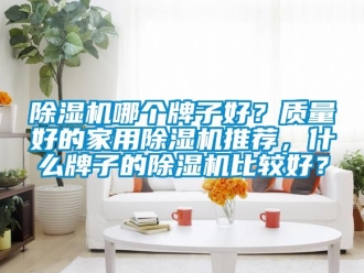 常見問題除濕機(jī)哪個牌子好？質(zhì)量好的家用除濕機(jī)推薦，什么牌子的除濕機(jī)比較好？