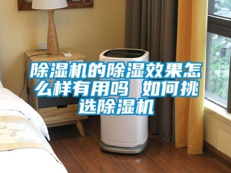企業新聞除濕機的除濕效果怎么樣有用嗎 如何挑選除濕機