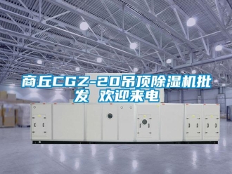 行業新聞商丘CGZ-20吊頂除濕機批發 歡迎來電