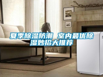 知識百科夏季除濕防潮 室內最優除濕妙招大推薦