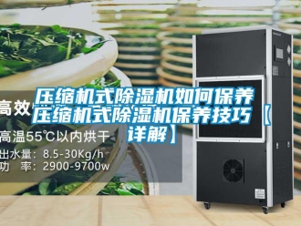 行業新聞壓縮機式除濕機如何保養 壓縮機式除濕機保養技巧【詳解】