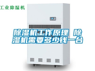 行業新聞除濕機工作原理 除濕機需要多少錢一臺