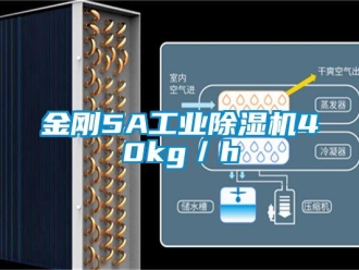 行業新聞金剛5A工業除濕機40kg／h