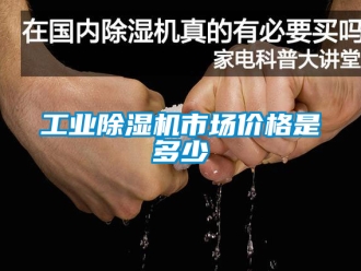 常見問題工業除濕機市場價格是多少